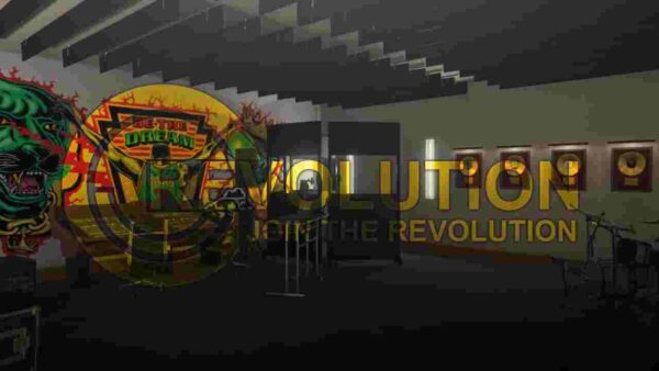 Explore the journey and impact of ESX Revolution Records, a pioneer in the music industry. Discover their history, artists, achievements, and influence