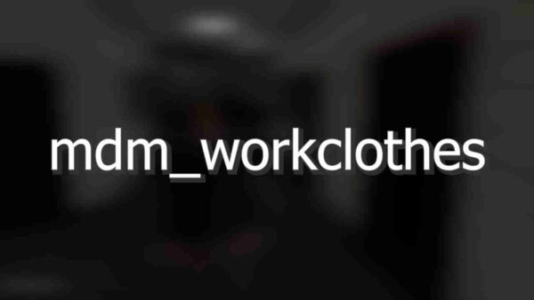 mdm_workclothes script is designed to create a locker room for any job, with any number of outfits. For each outfit, you can set a minimum