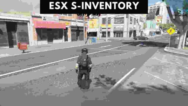 Discover the ins and outs of Esx S-Inventory, from setup to advanced features, and learn how to optimize your inventory management.